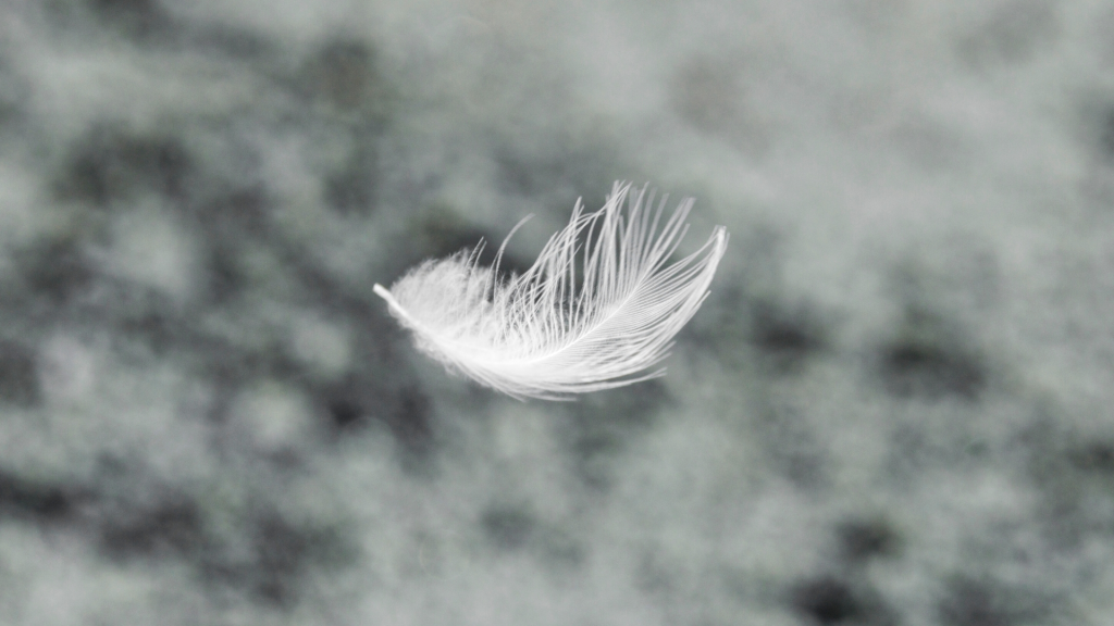 what are feathers 2